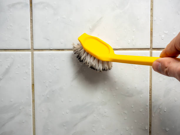 Best DIY Mold Remediation Support Services in French Valley, CA